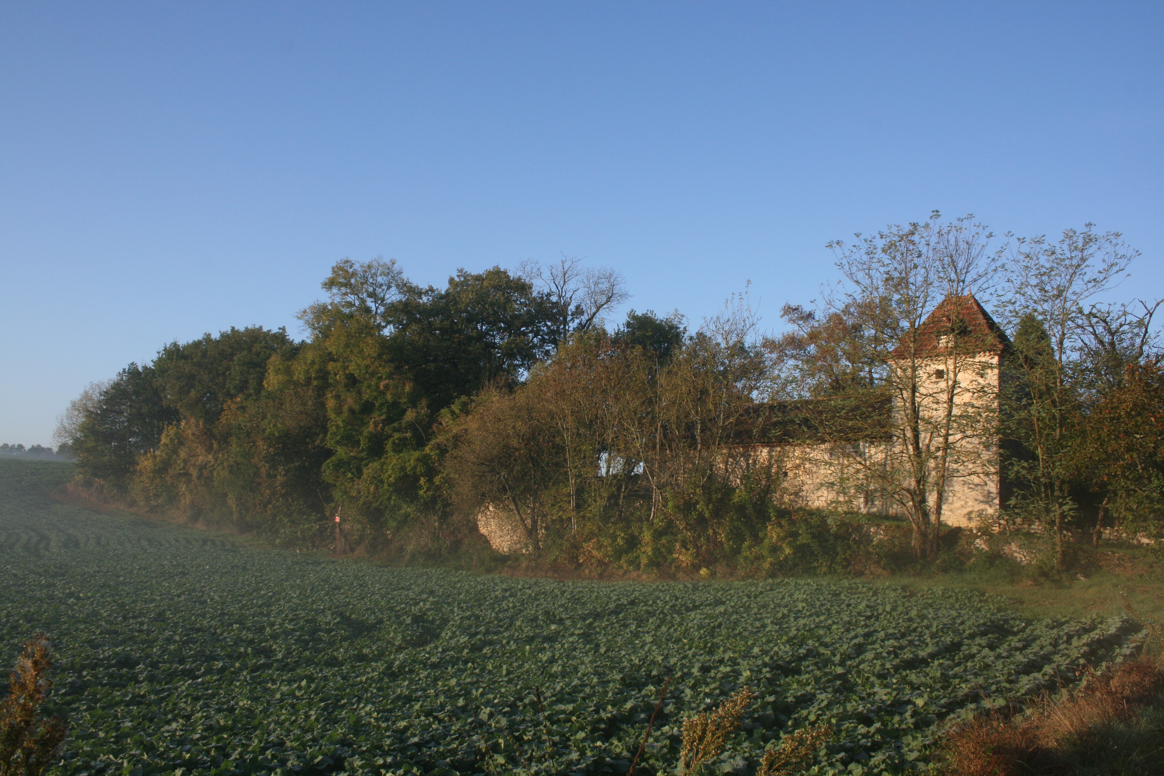 Domaine vu du chemin.JPG