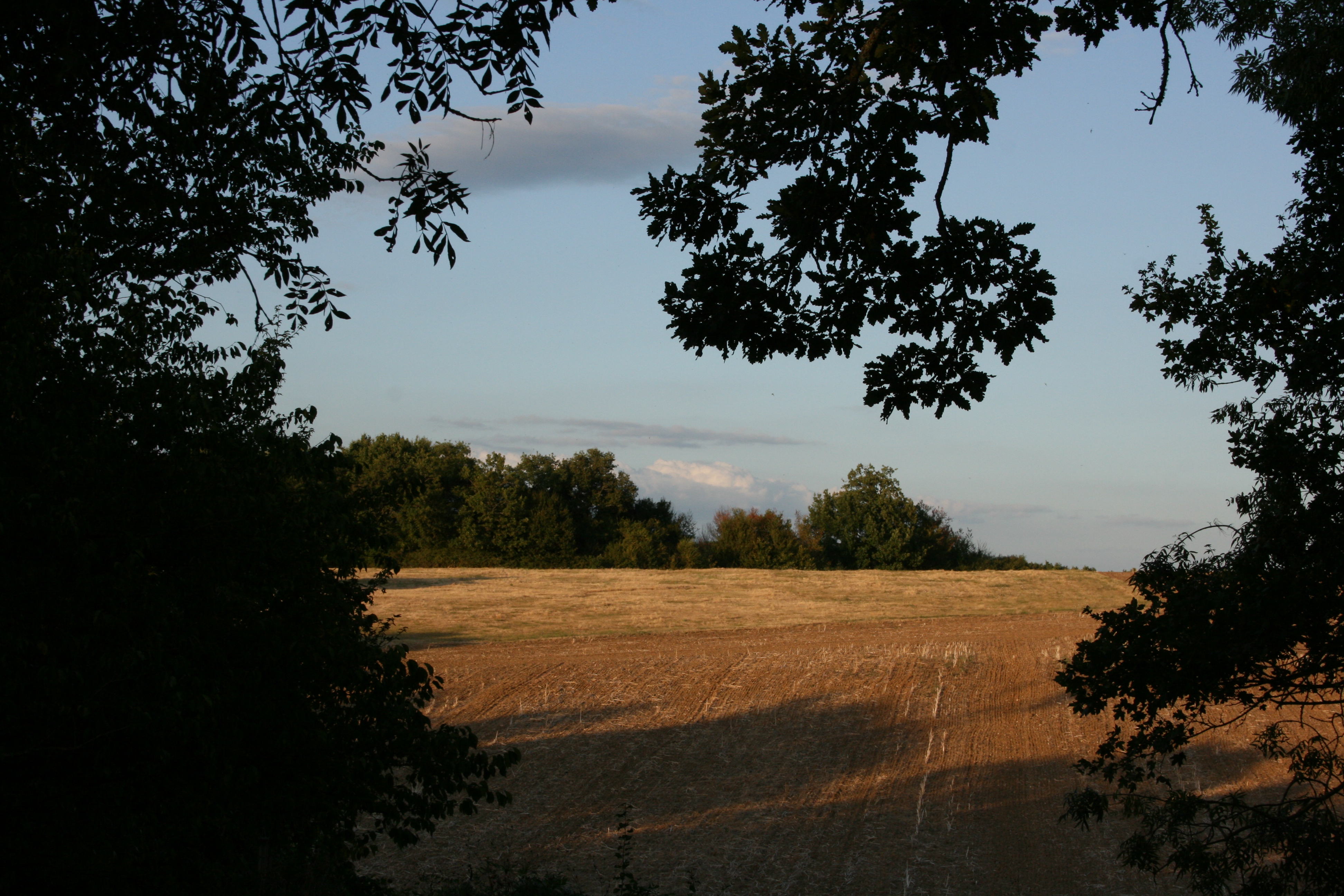 Paysages 2.JPG