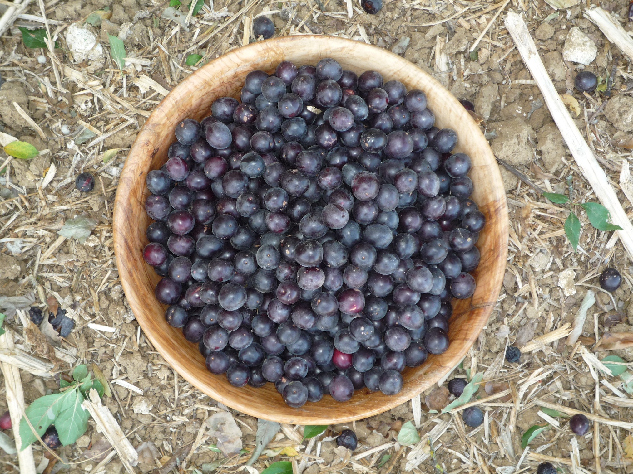 P1010552.JPG