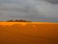 paysage champ saint do.jpg